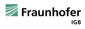 Fraunhofer IGB logo